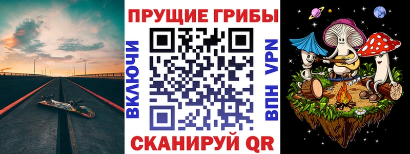 наркошоп  Алзамай  Псилоцибиновые грибы Psilocybine cubensis 